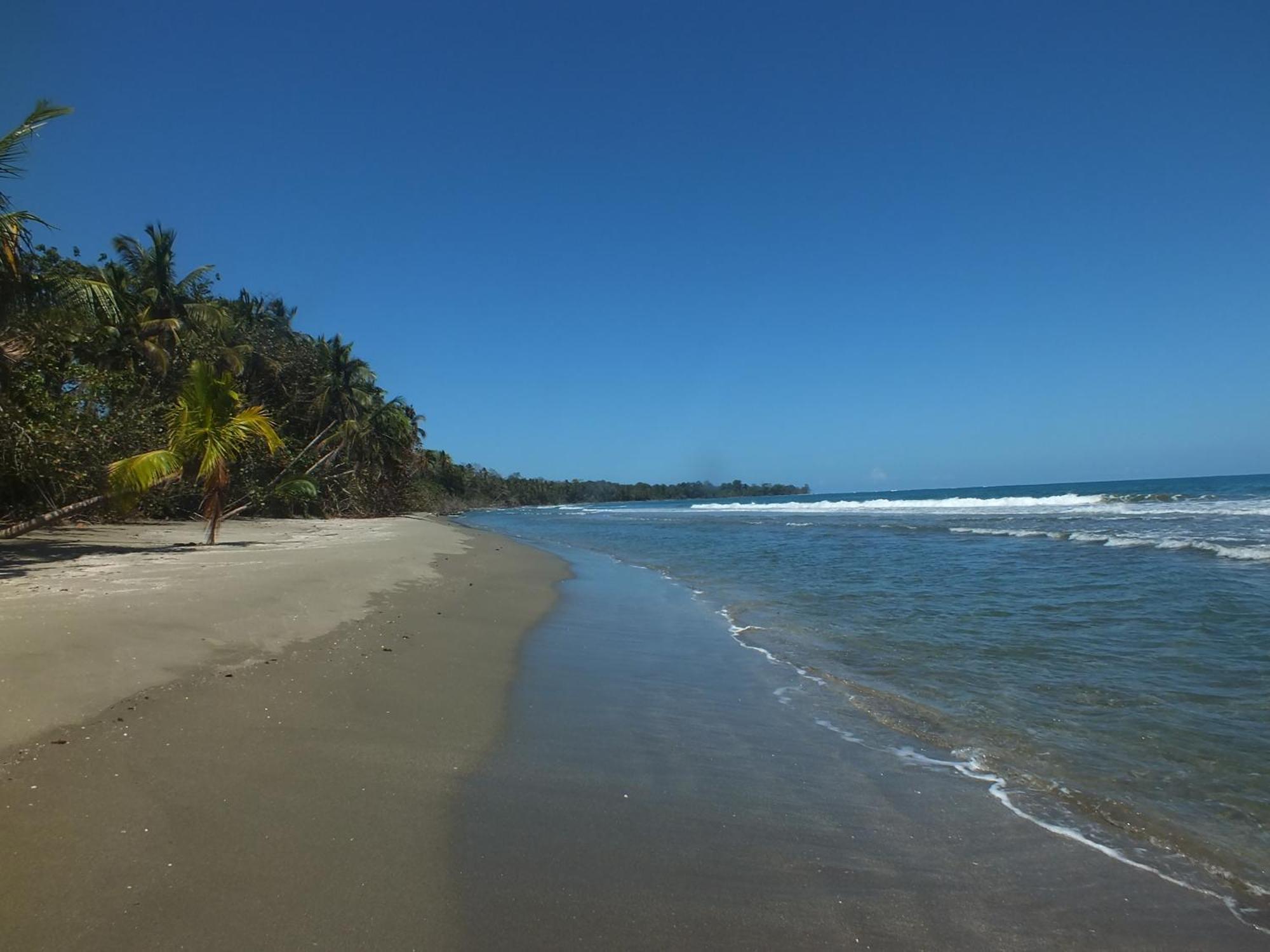 Cabinas Caribe Luna Cahuita Exterior foto