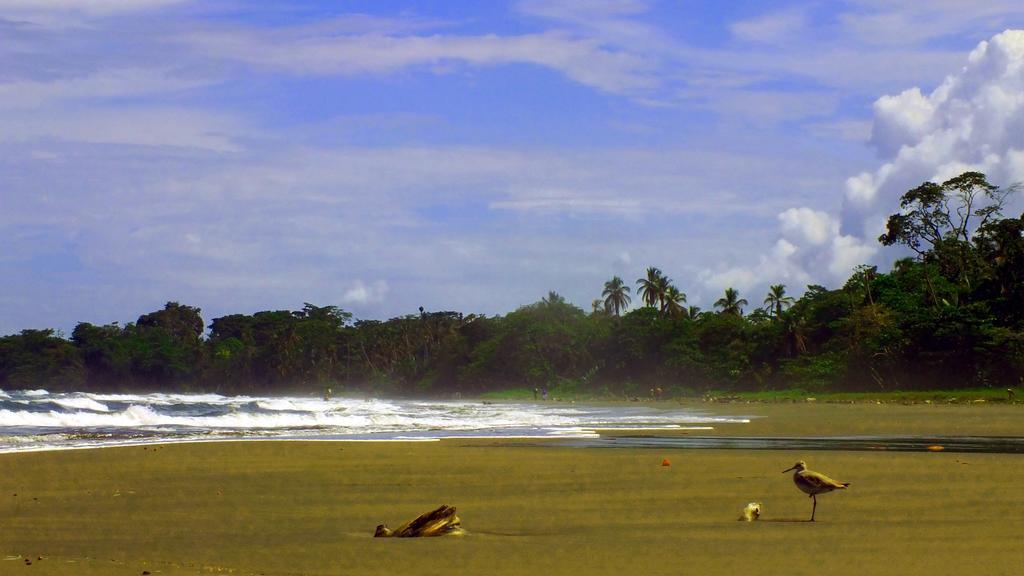 Cabinas Caribe Luna Cahuita Exterior foto
