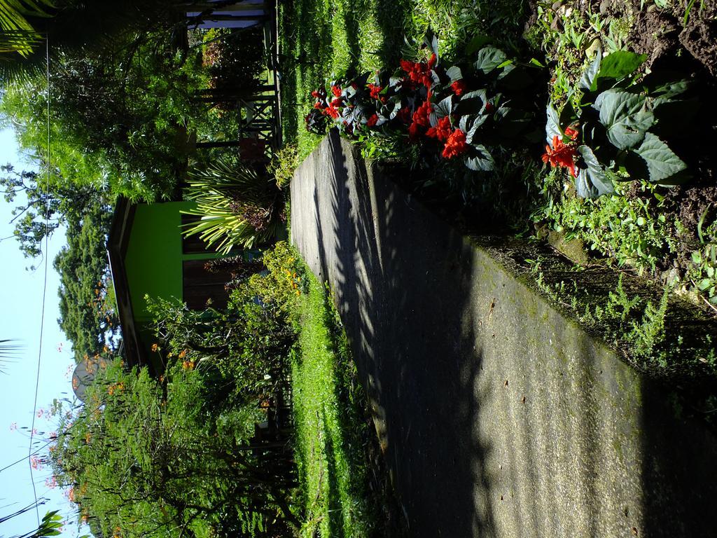 Cabinas Caribe Luna Cahuita Exterior foto