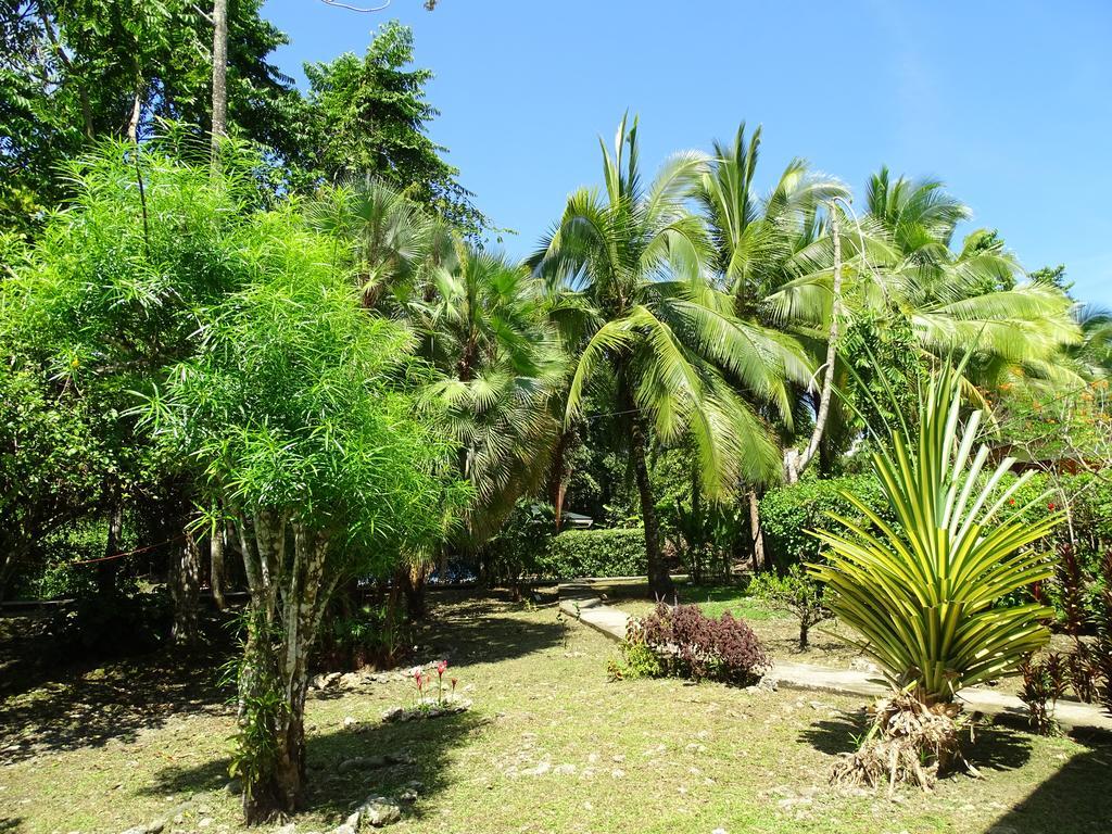 Cabinas Caribe Luna Cahuita Exterior foto